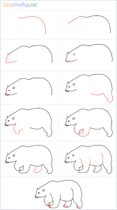 How to draw Polar bear idea 1