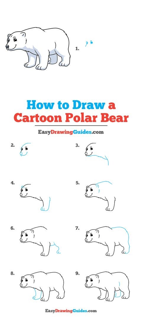 How to draw Polar bear idea 3