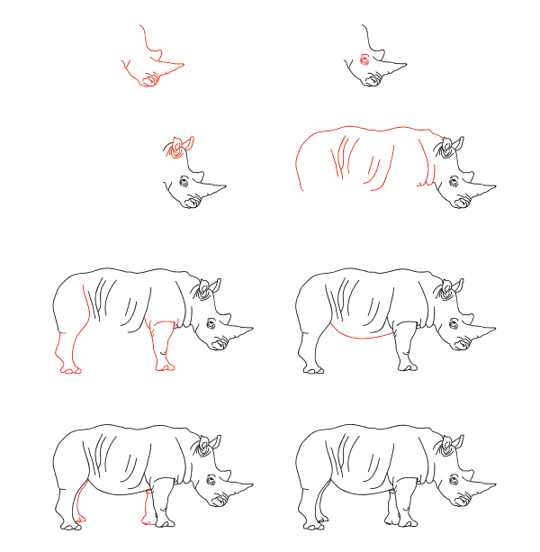 How to draw Realistic Rhino