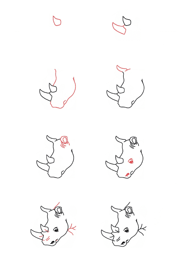 How to draw Rhino head