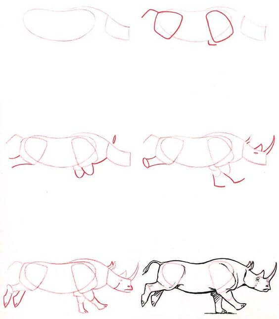 How to draw Rhino idea (1)