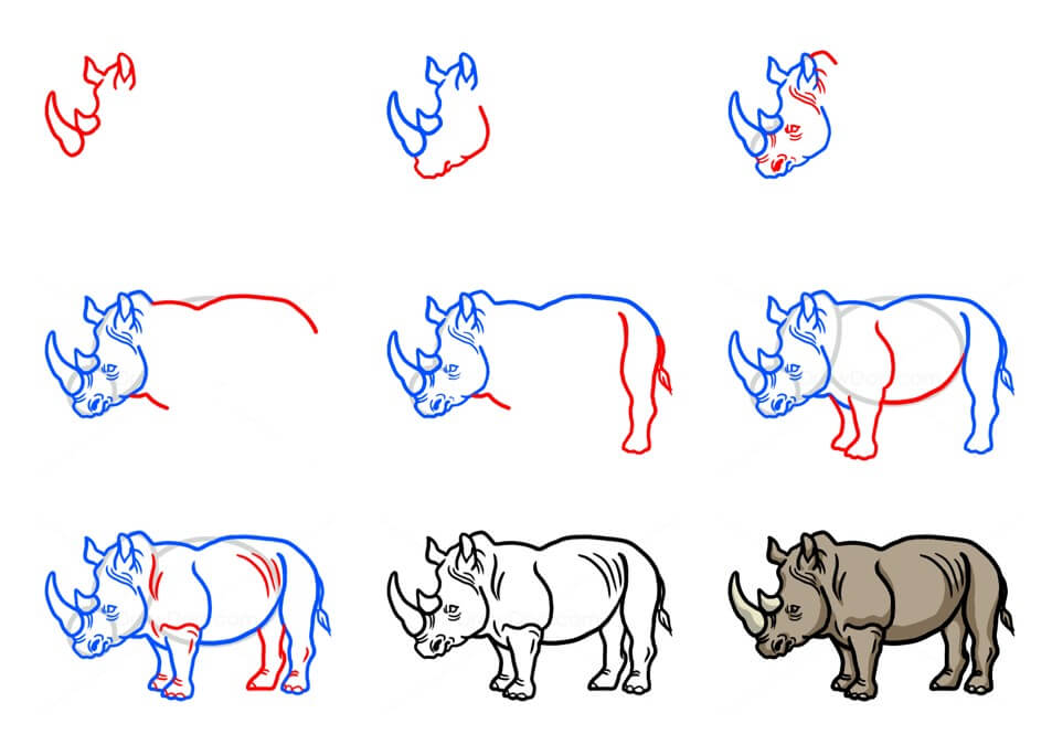 How to draw Rhino idea (16)