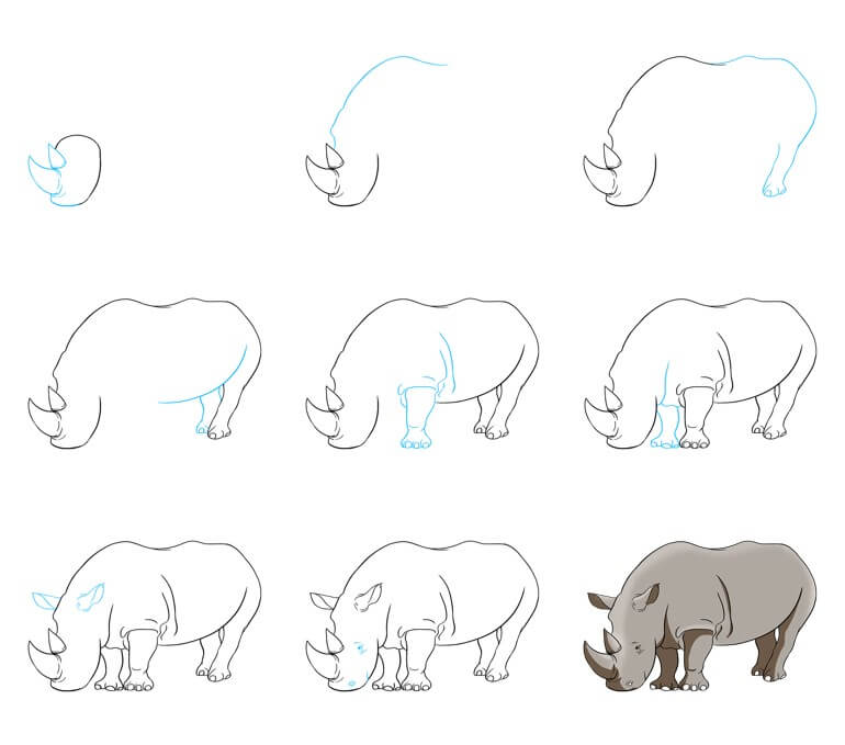 How to draw Rhino idea (9)