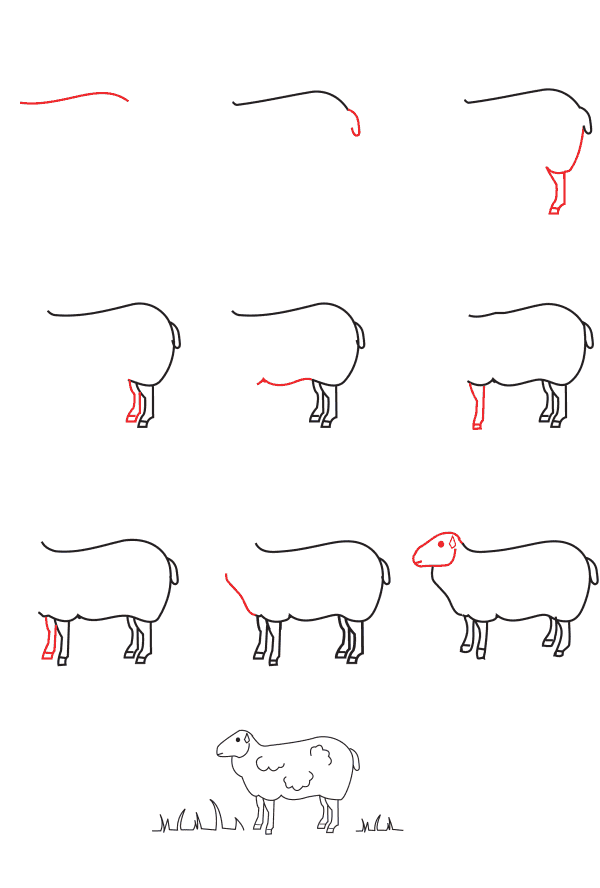 Sheep Drawing Ideas