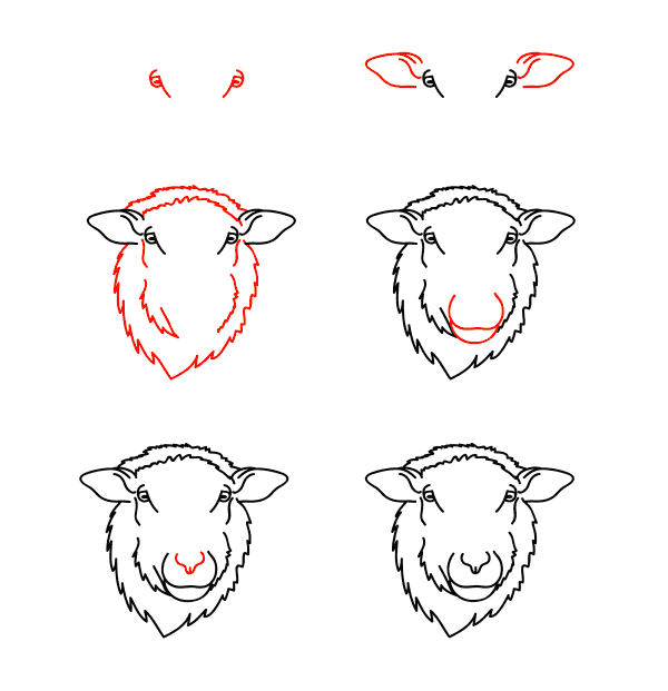 Sheep face Drawing Ideas