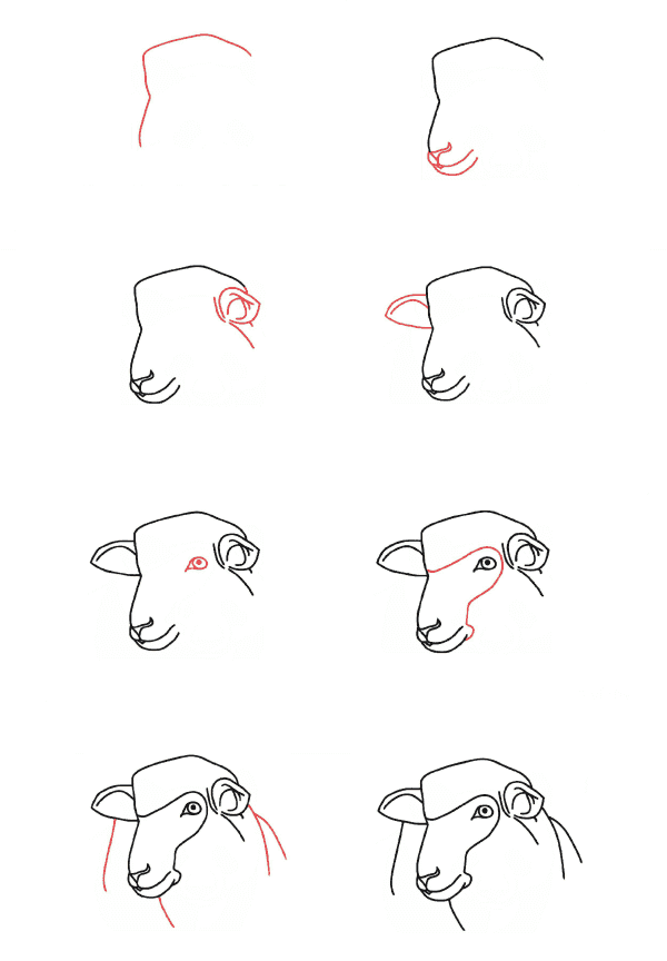 Sheep head Drawing Ideas