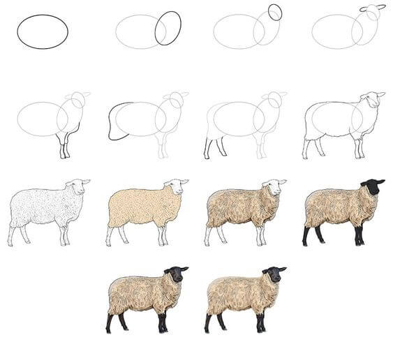 Sheep idea (32) Drawing Ideas