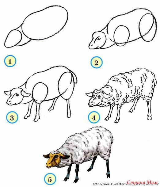 Sheep idea (51) Drawing Ideas