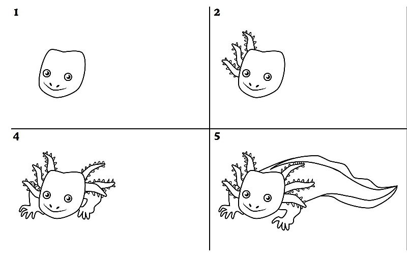 The idea of Axolotl 7 Drawing Ideas