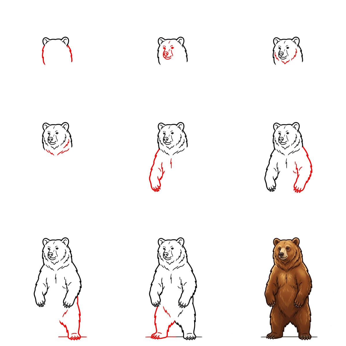 Big bear Drawing Ideas