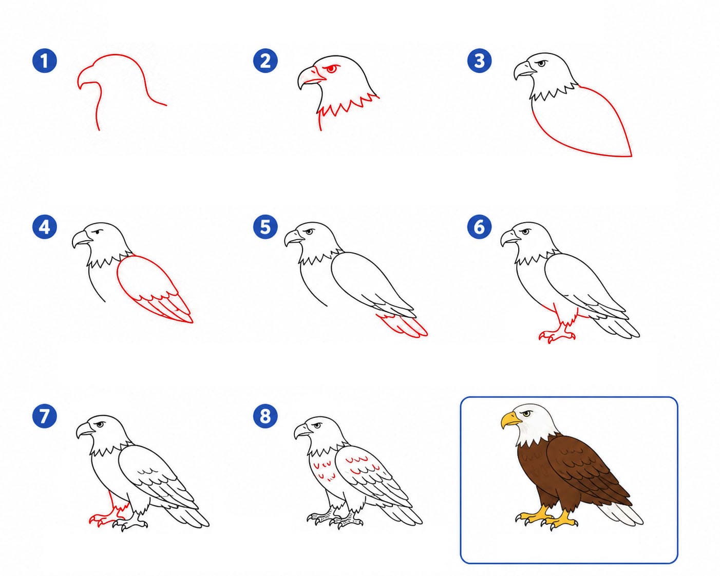 Classic Eagle Drawing Ideas
