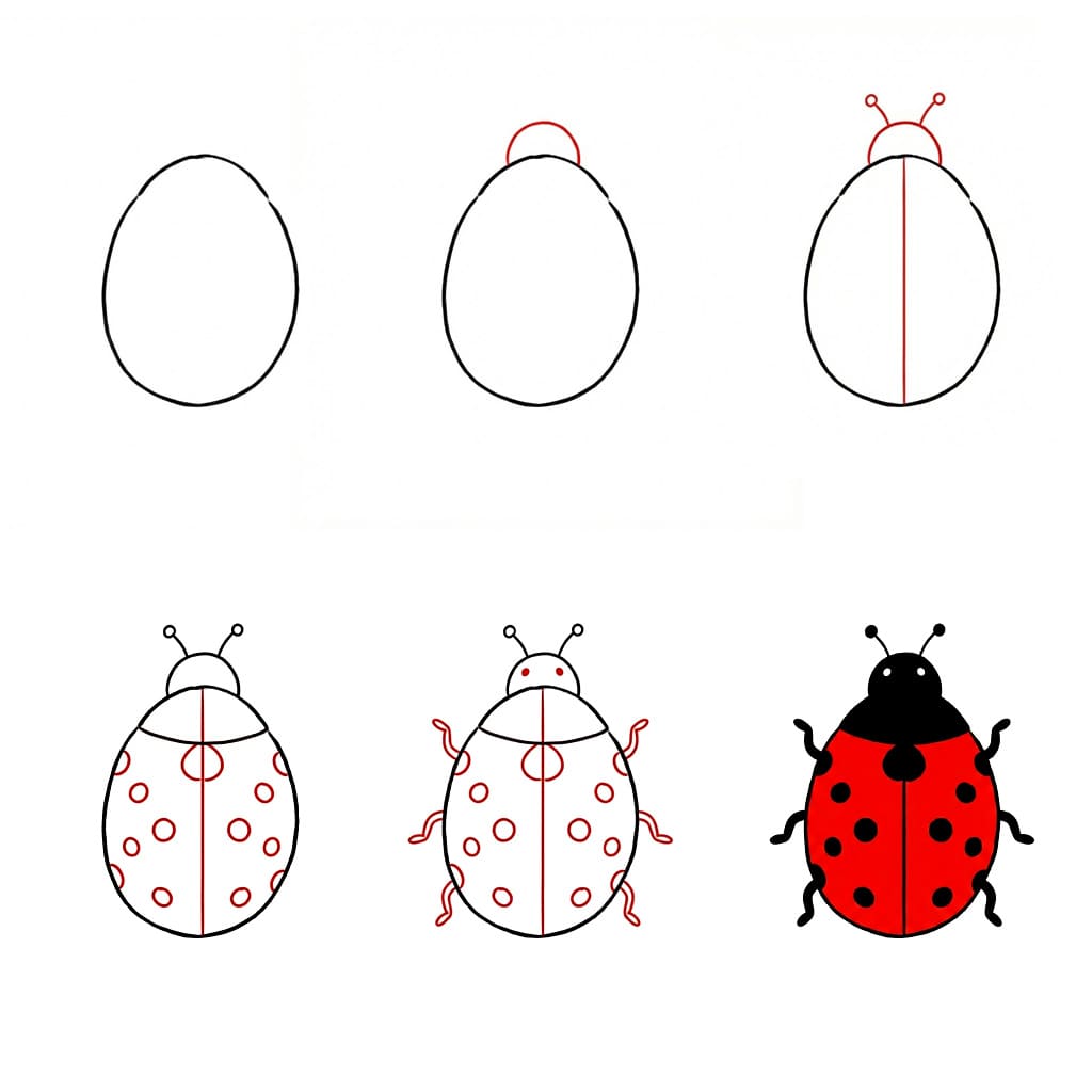 Draw Ladybug Drawing Ideas