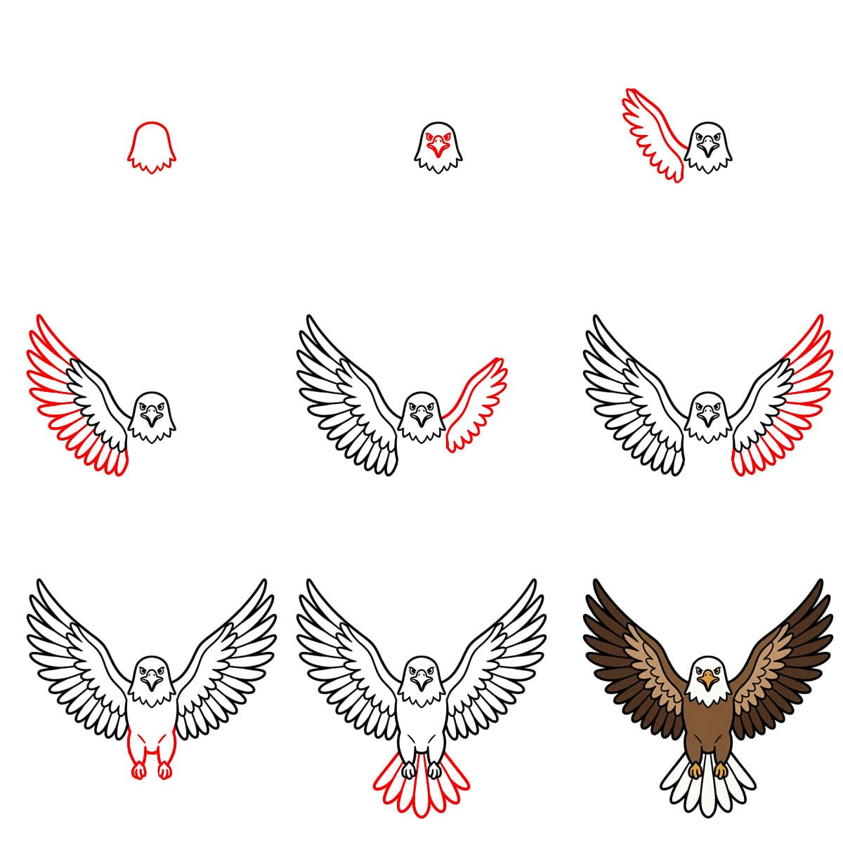 Eagle front view Drawing Ideas
