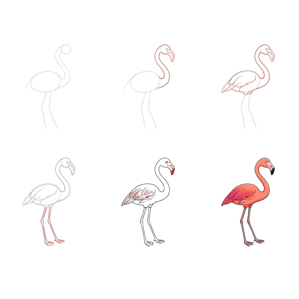 Elegant Flamingo Drawing Ideas
