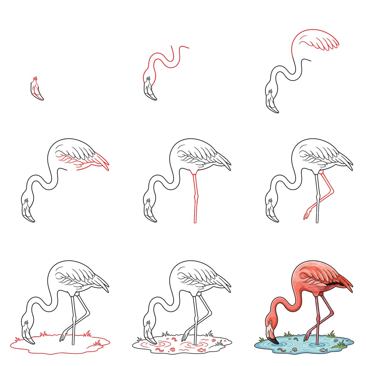 Feeding Flamingo Drawing Ideas