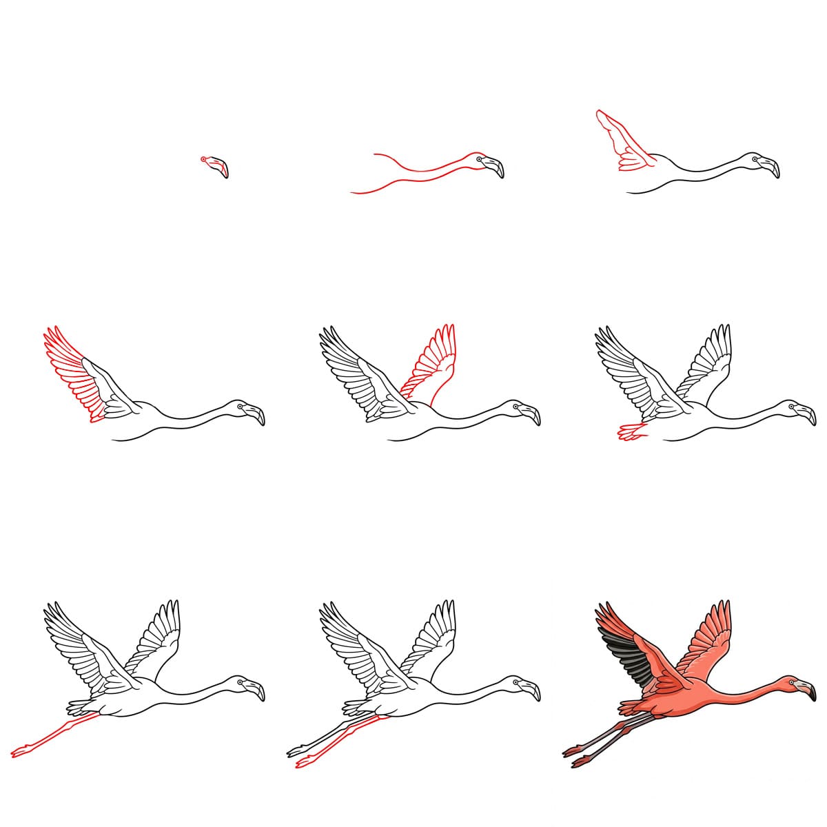 Flying Flamingo Drawing Ideas