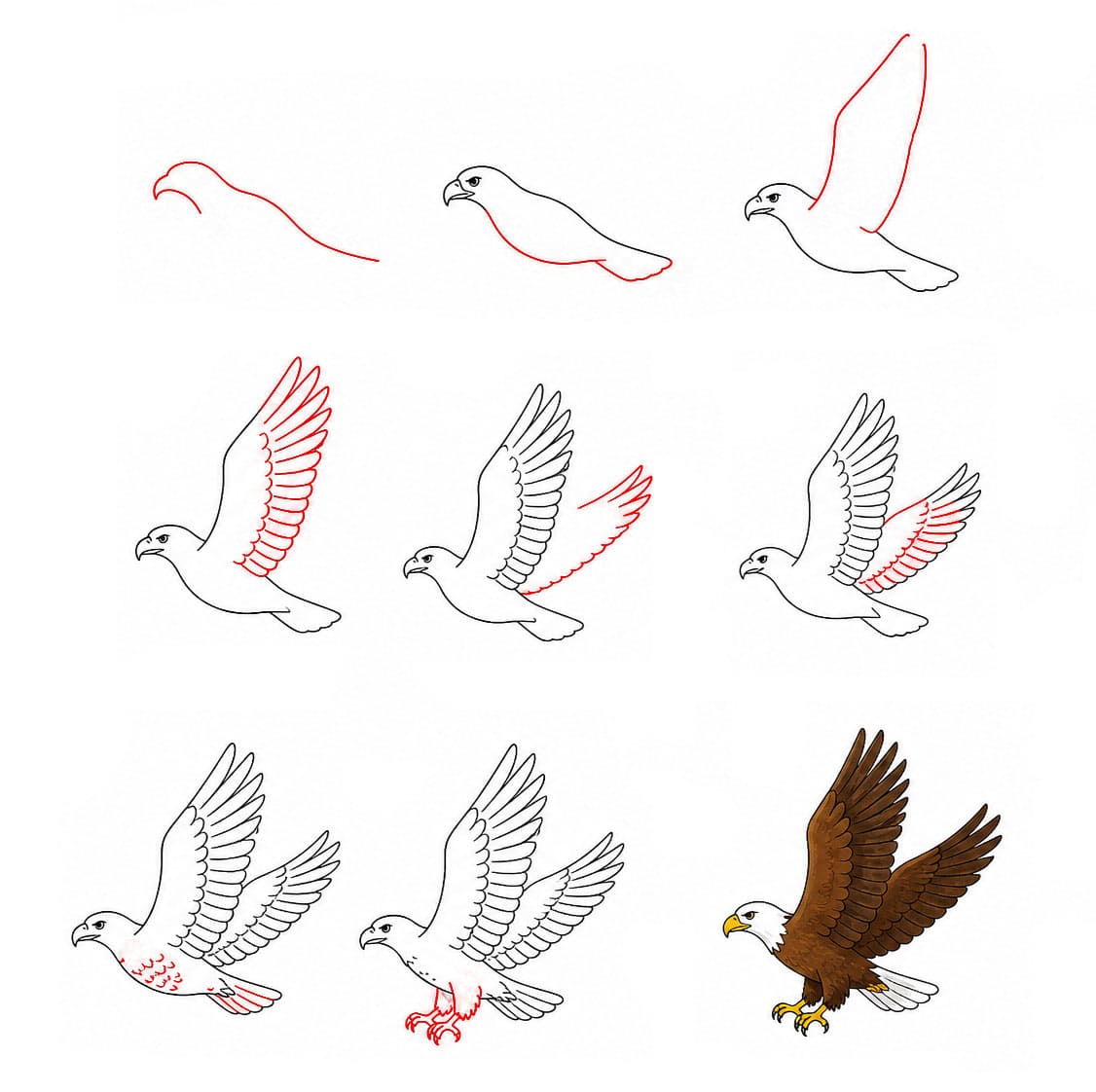 Gliding Eagle Drawing Ideas