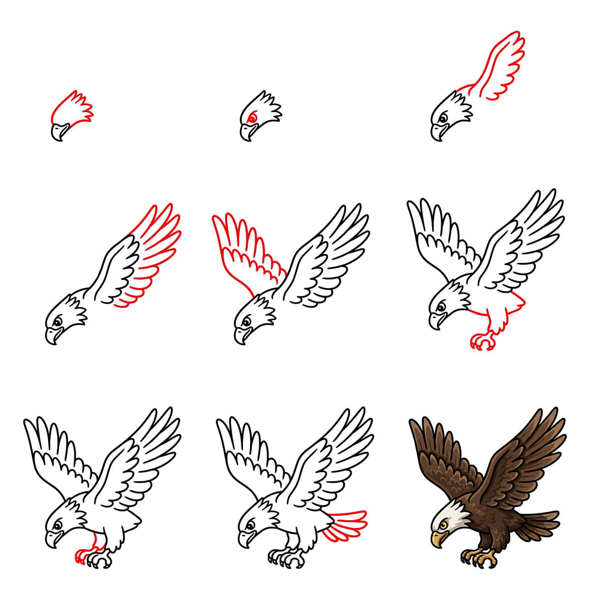 Hunting Eagle Drawing Ideas