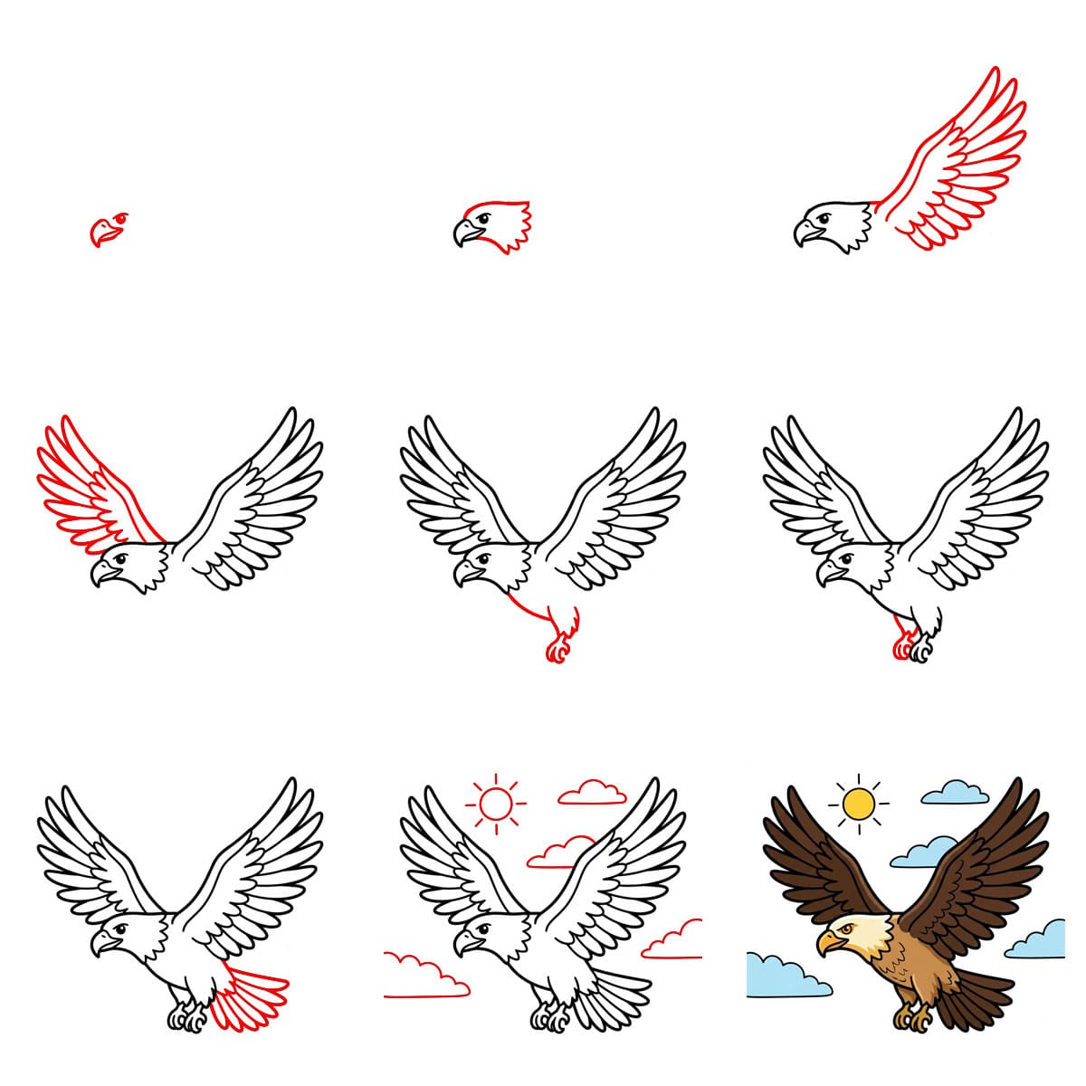 Majestic Eagle Drawing Ideas