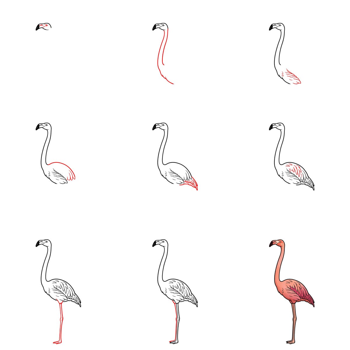 Majestic Flamingo Drawing Ideas
