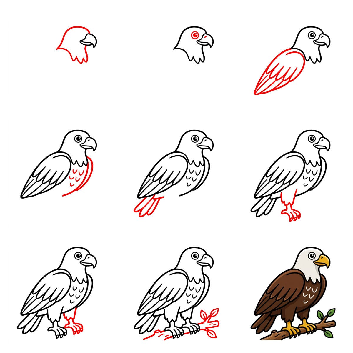 Noble Eagle Drawing Ideas