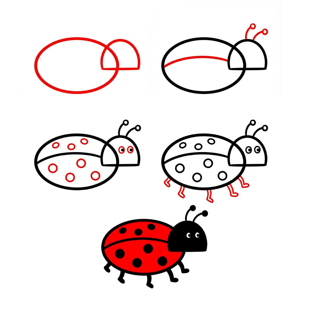 Normal Ladybug Drawing Ideas