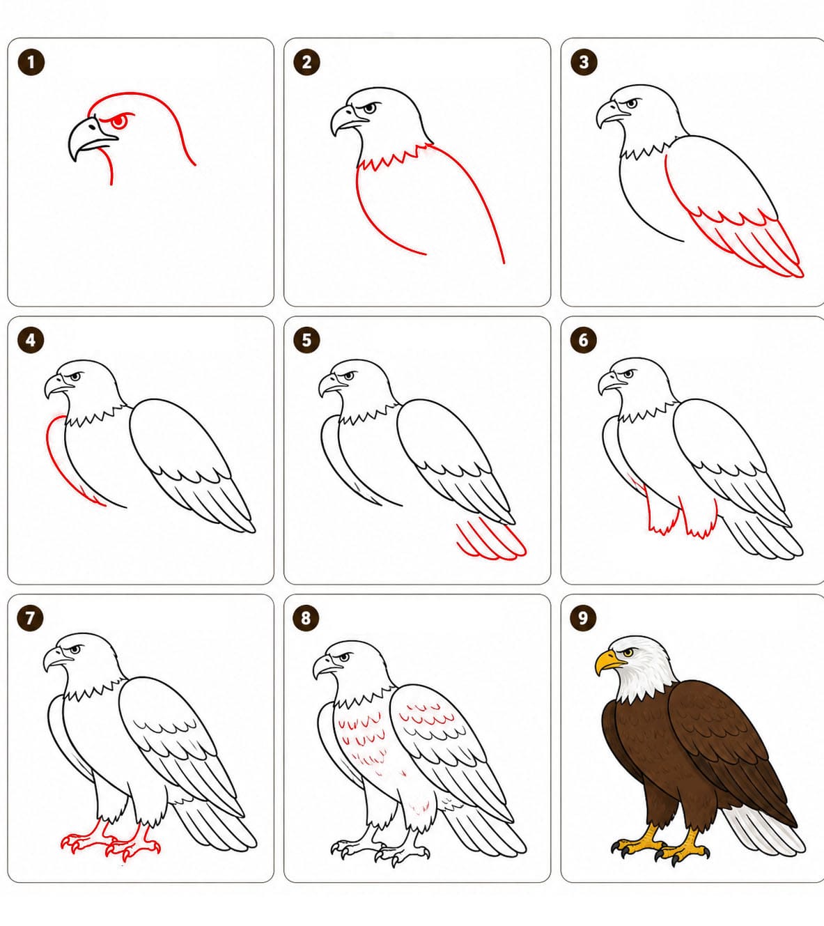 Observant Eagle Drawing Ideas
