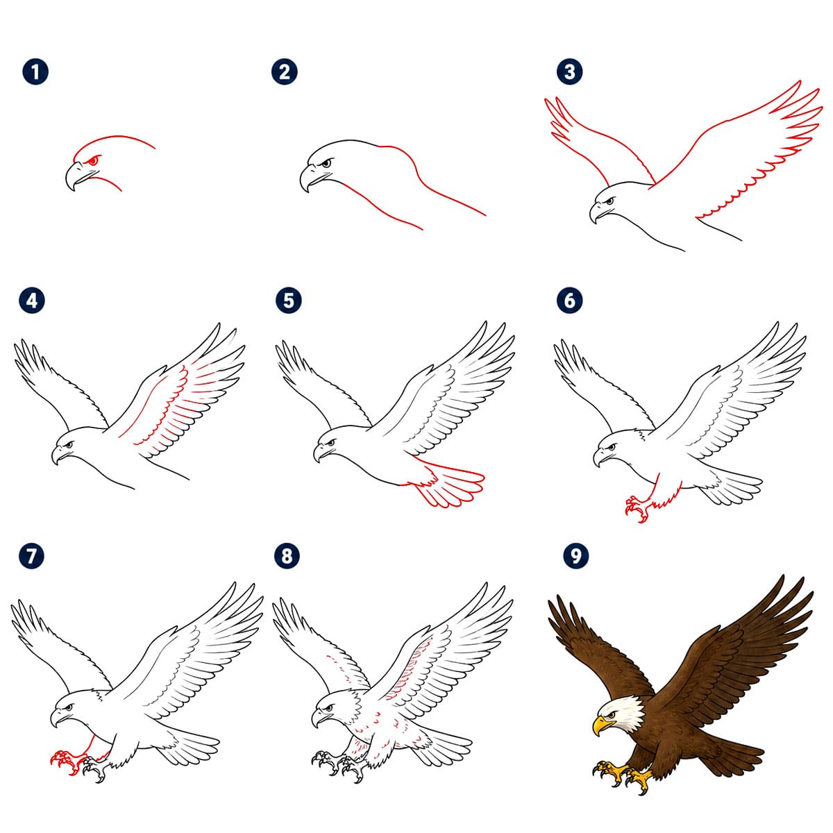 Powerful Eagle Drawing Ideas