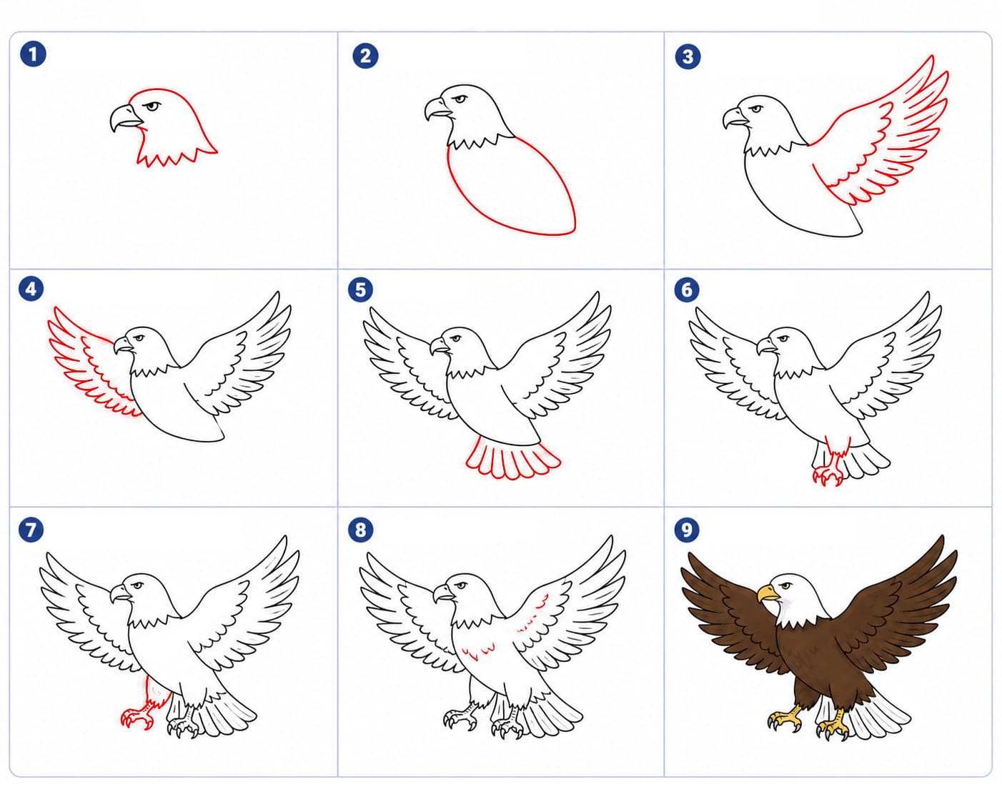 Ready Eagle Drawing Ideas