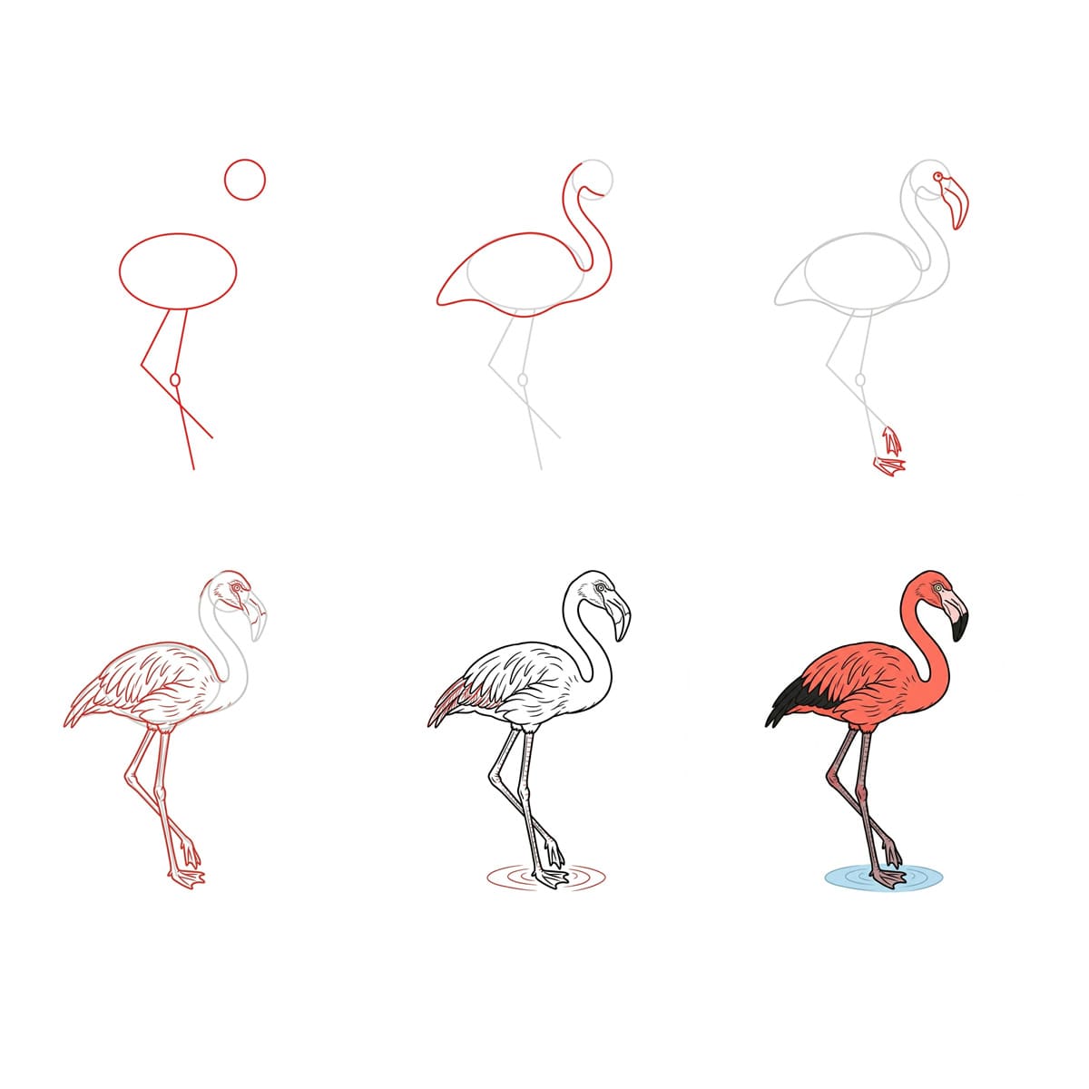 Reflecting Flamingo Drawing Ideas
