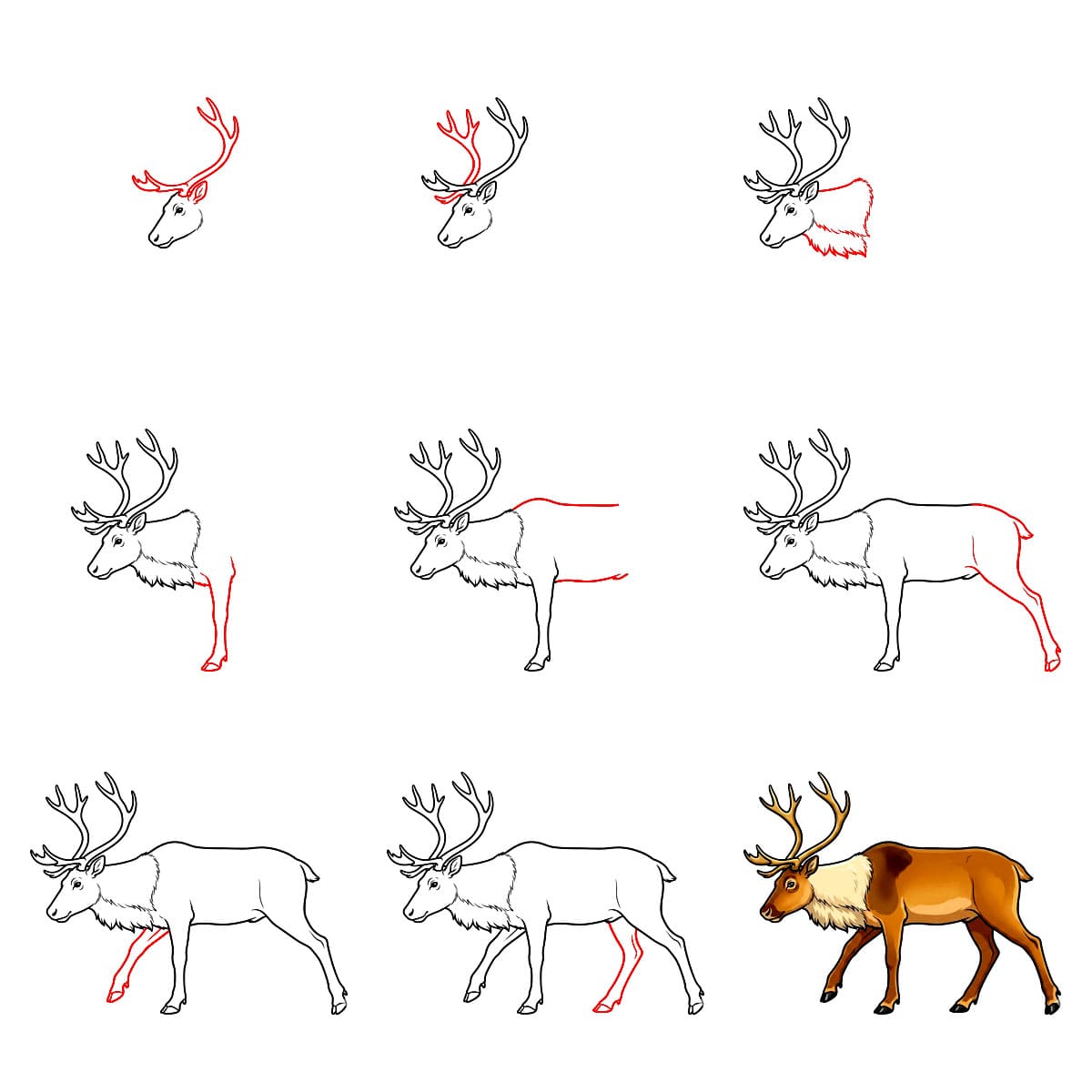 Reindeer Walking Drawing Ideas