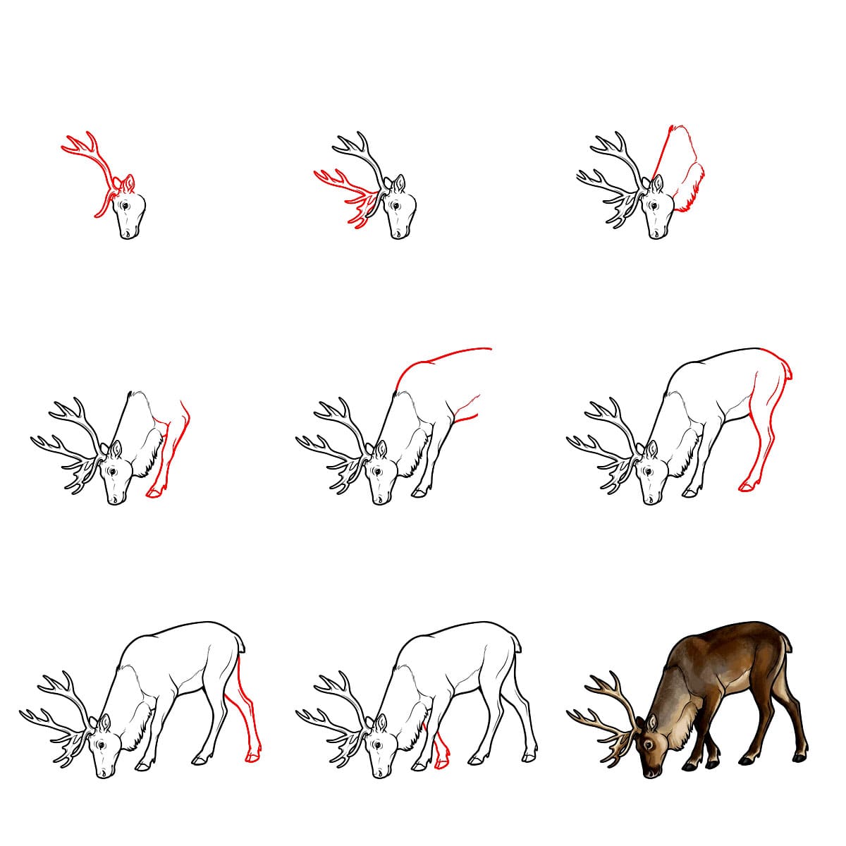 Reindeer eating Drawing Ideas
