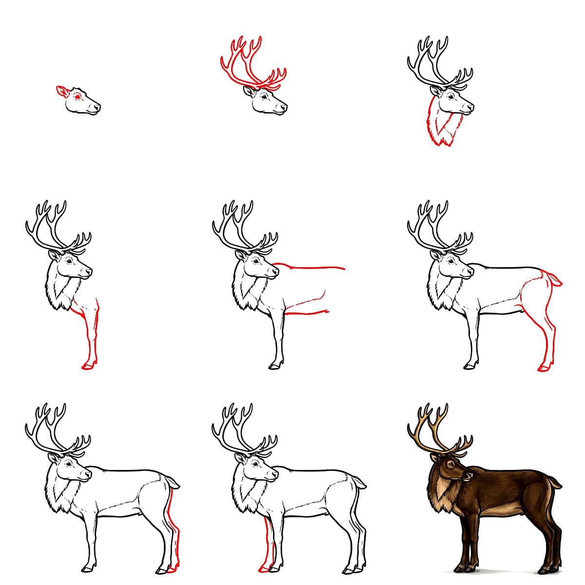 Reindeer look back Drawing Ideas