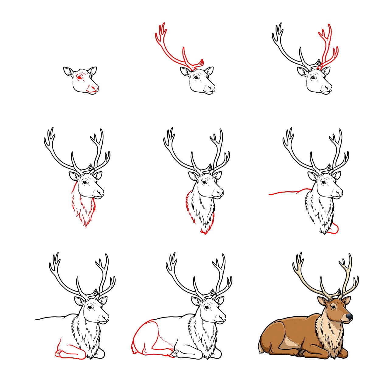 Reindeer resting Drawing Ideas