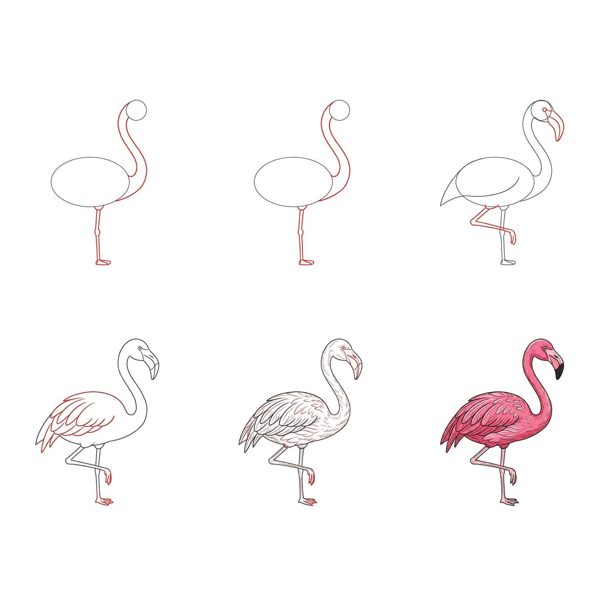 S-Curve Flamingo Drawing Ideas