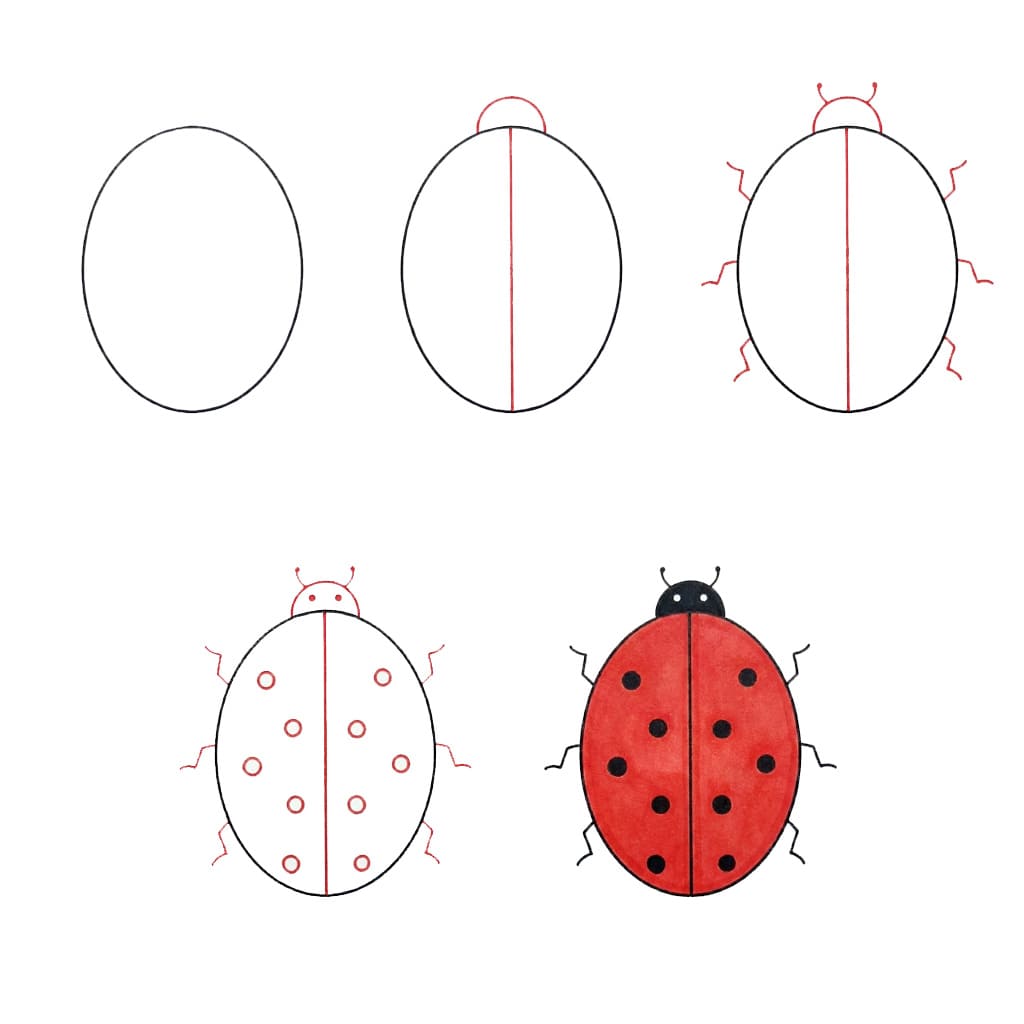 Simple Ladybug Drawing Ideas