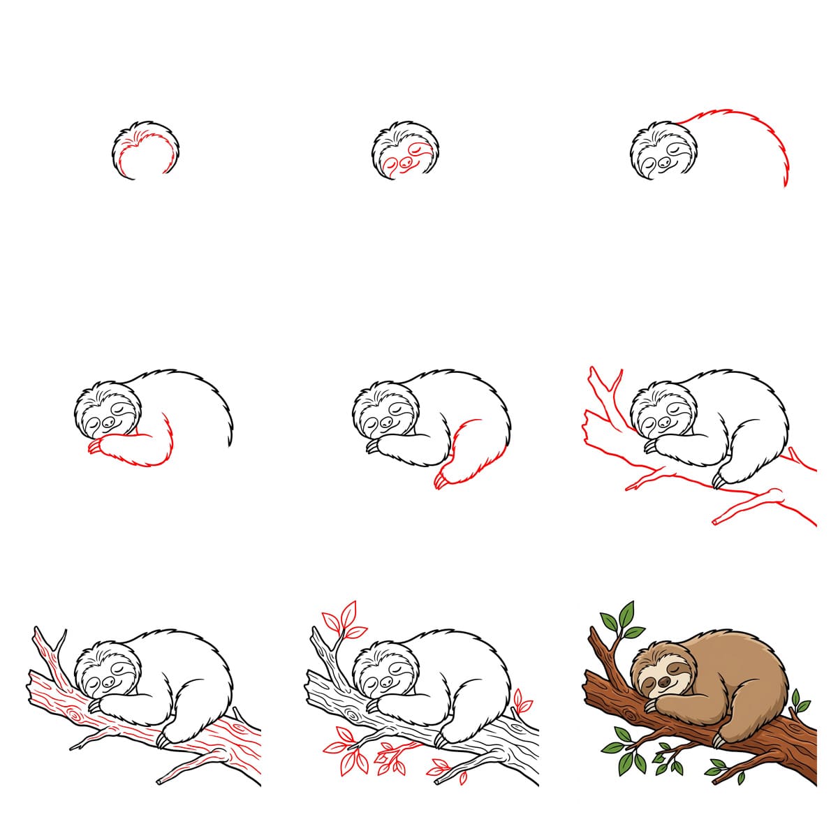 Sleeping Sloth Drawing Ideas
