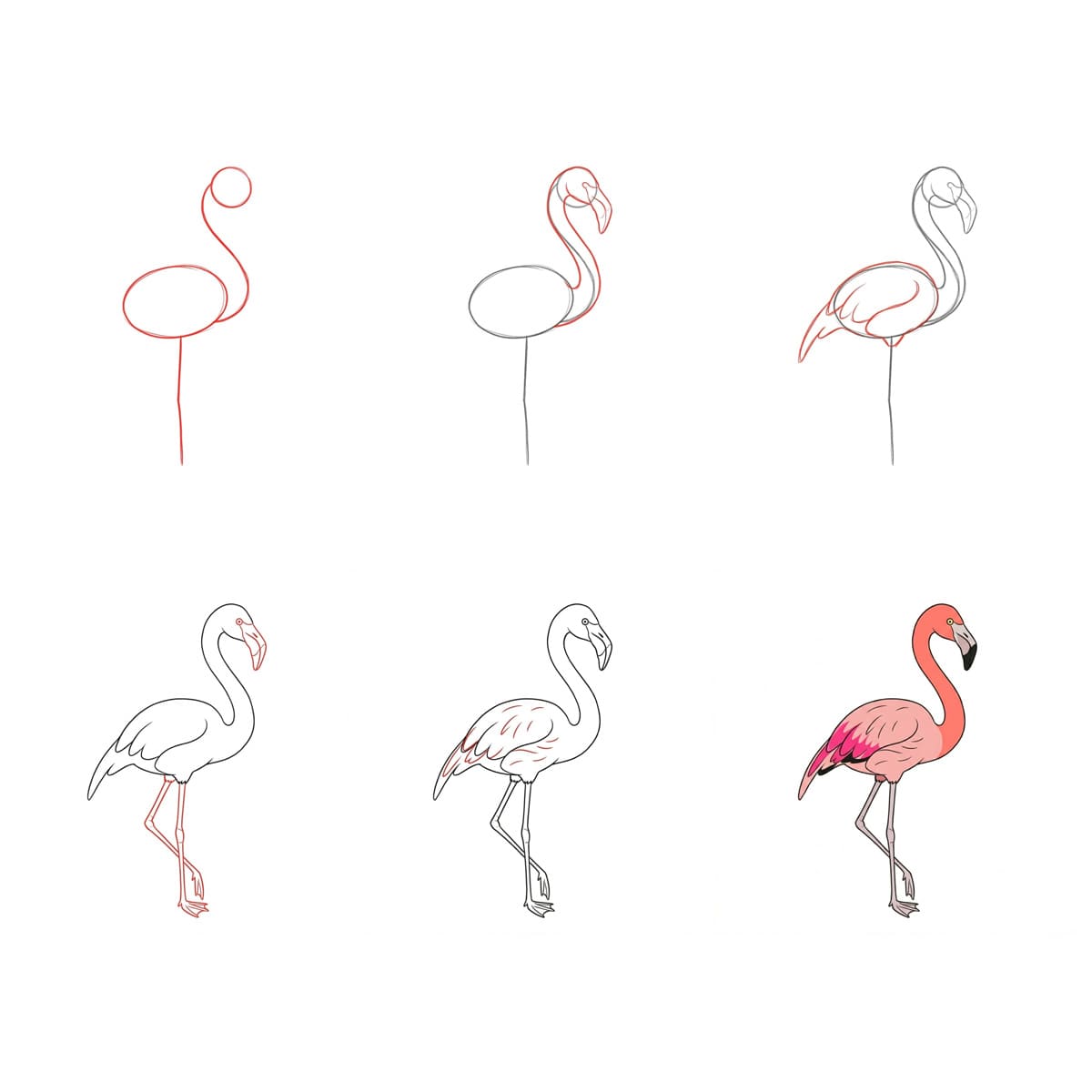 Stately Flamingo Drawing Ideas