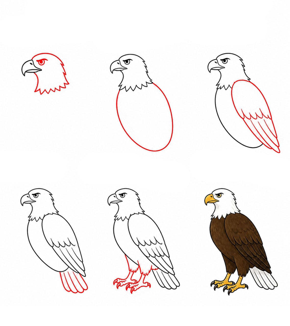 Static Eagle Drawing Ideas