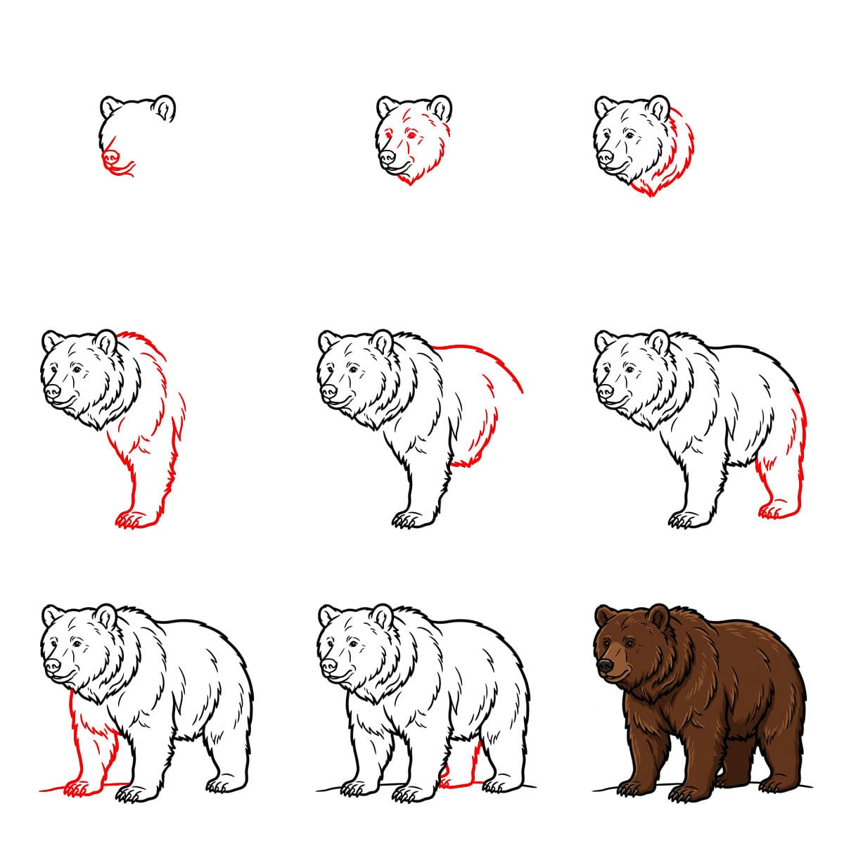Walking bear Drawing Ideas