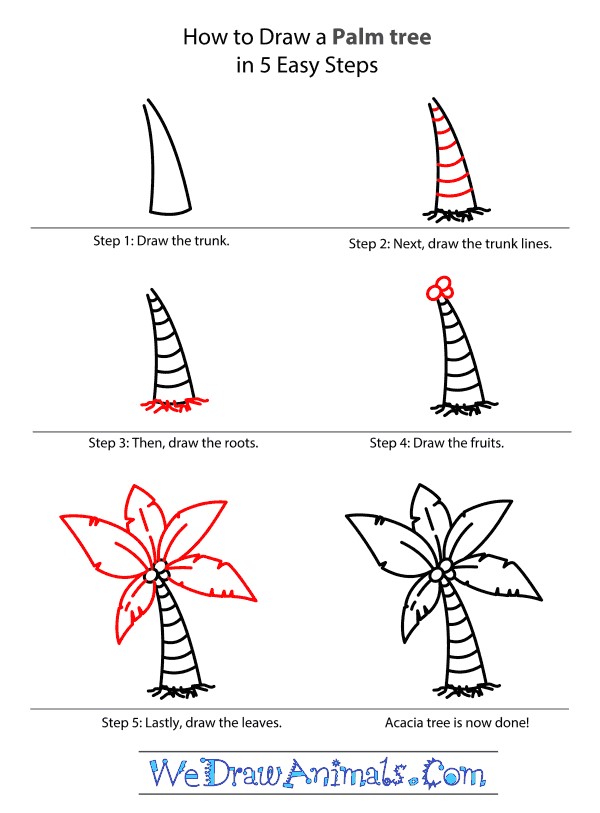 A detailed step-by-step Palm Tree Drawing Ideas