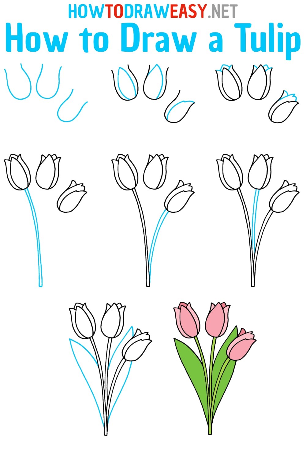 A detailed Tulip flower Drawing Ideas