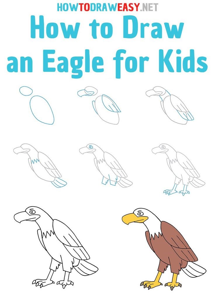 How to draw A simple Eagle