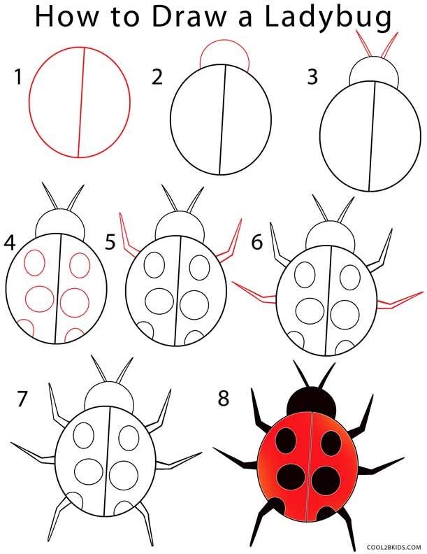 How to draw A simple Ladybug