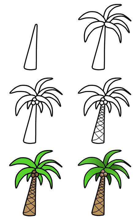 A simple Palm Tree Drawing Ideas