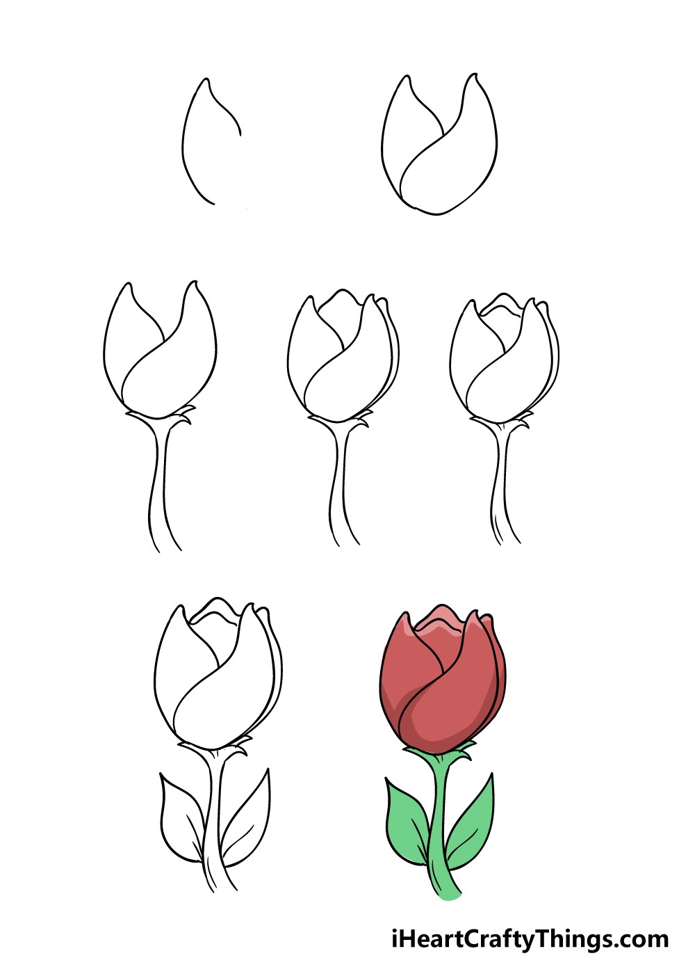 A simple Tulip flower Drawing Ideas