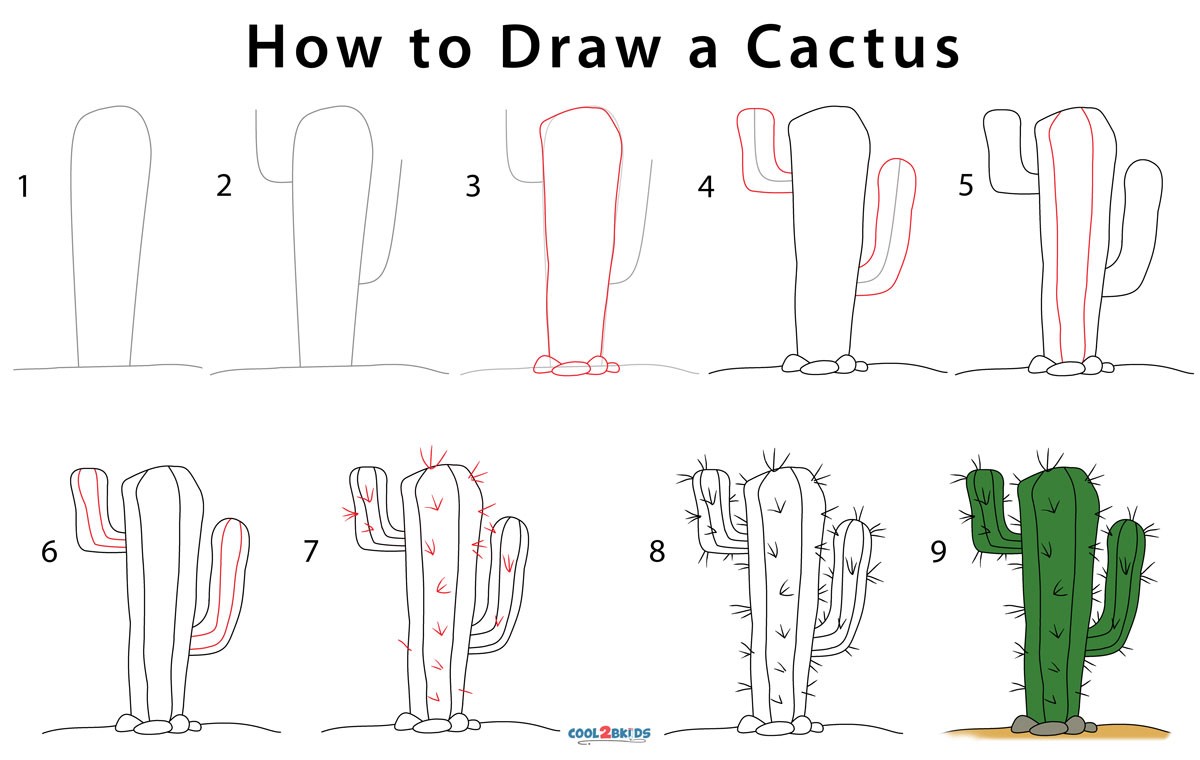 Cactus idea 11 Drawing Ideas