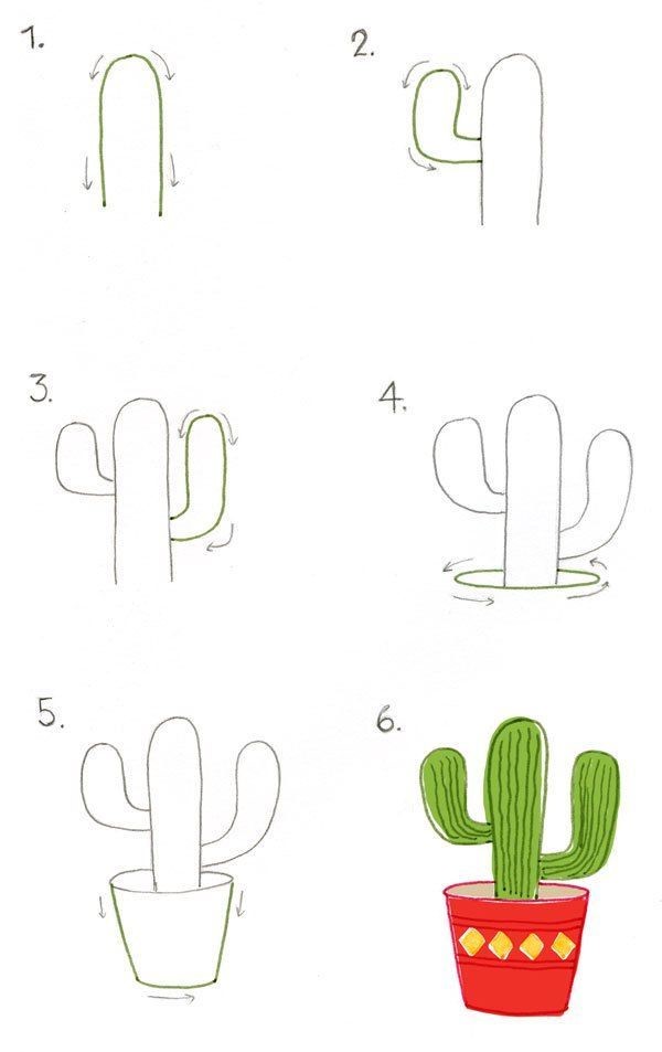 Cactus Drawing Ideas