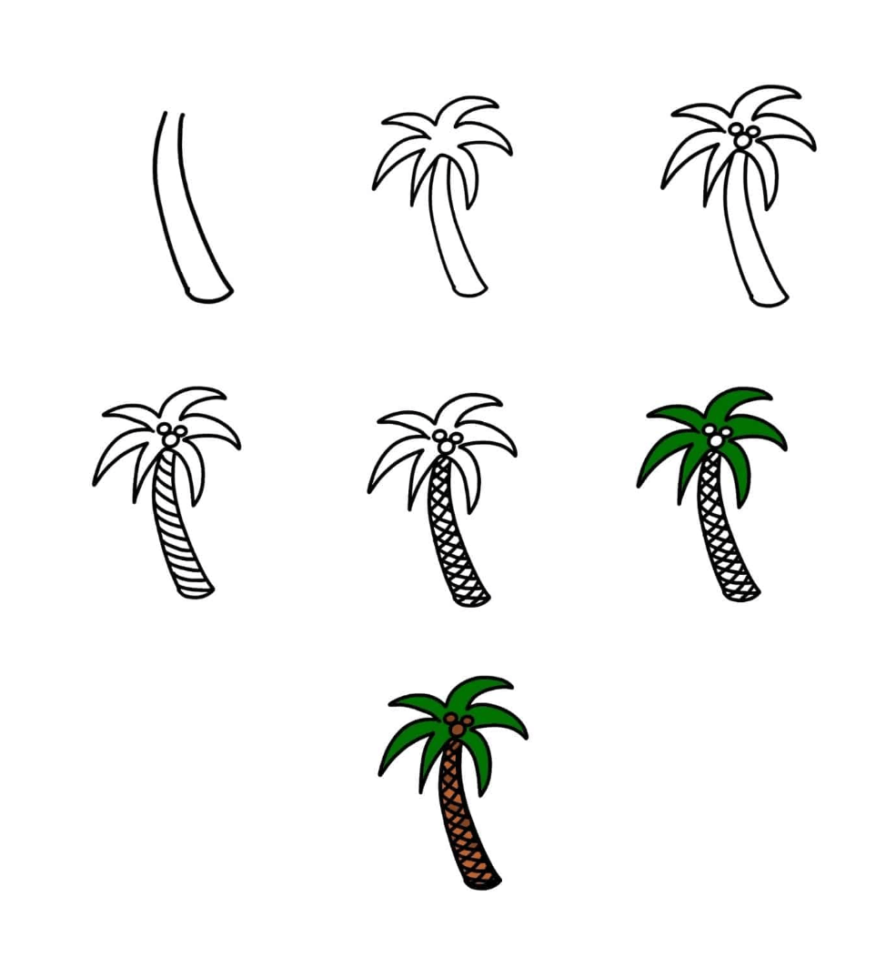 How to draw Draw a simple palm tree (2)