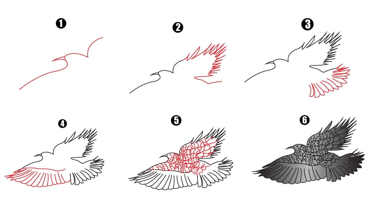 How to draw Eagle idea 11